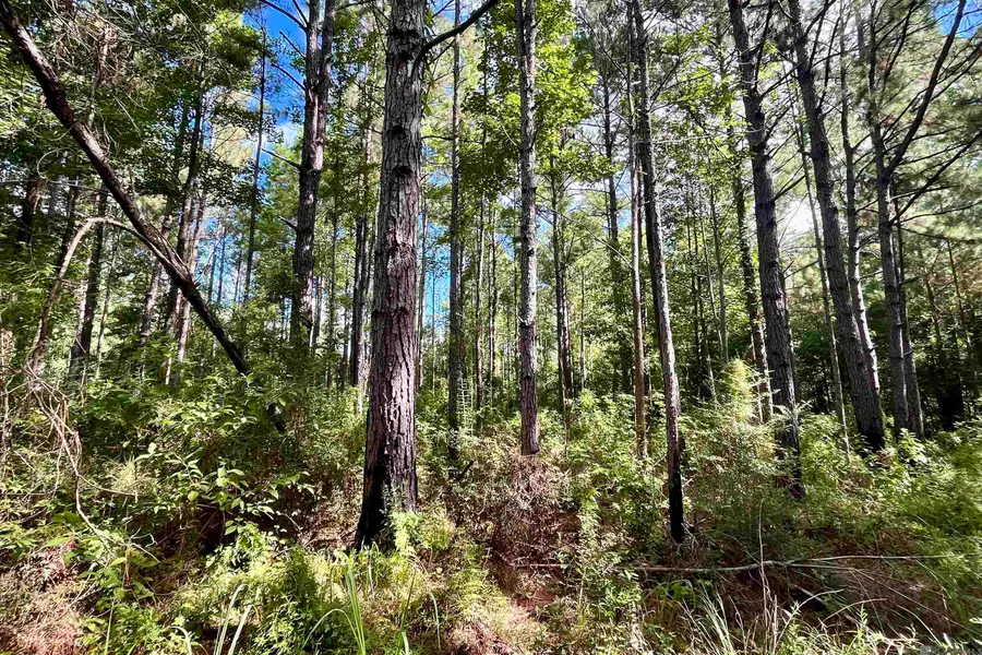 02 Washington Ln, Greensburg, LA 70441 - #2