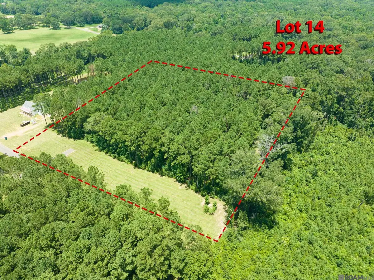 90113 Basil Ln, Saint Francisville, LA 70775 - #1