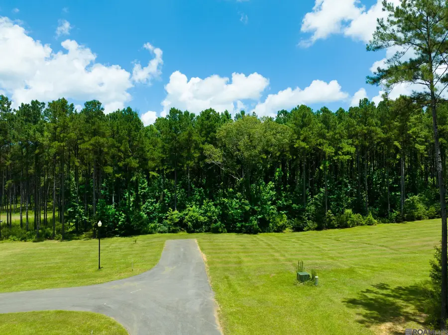 90113 Basil Ln, Saint Francisville, LA 70775 - #3
