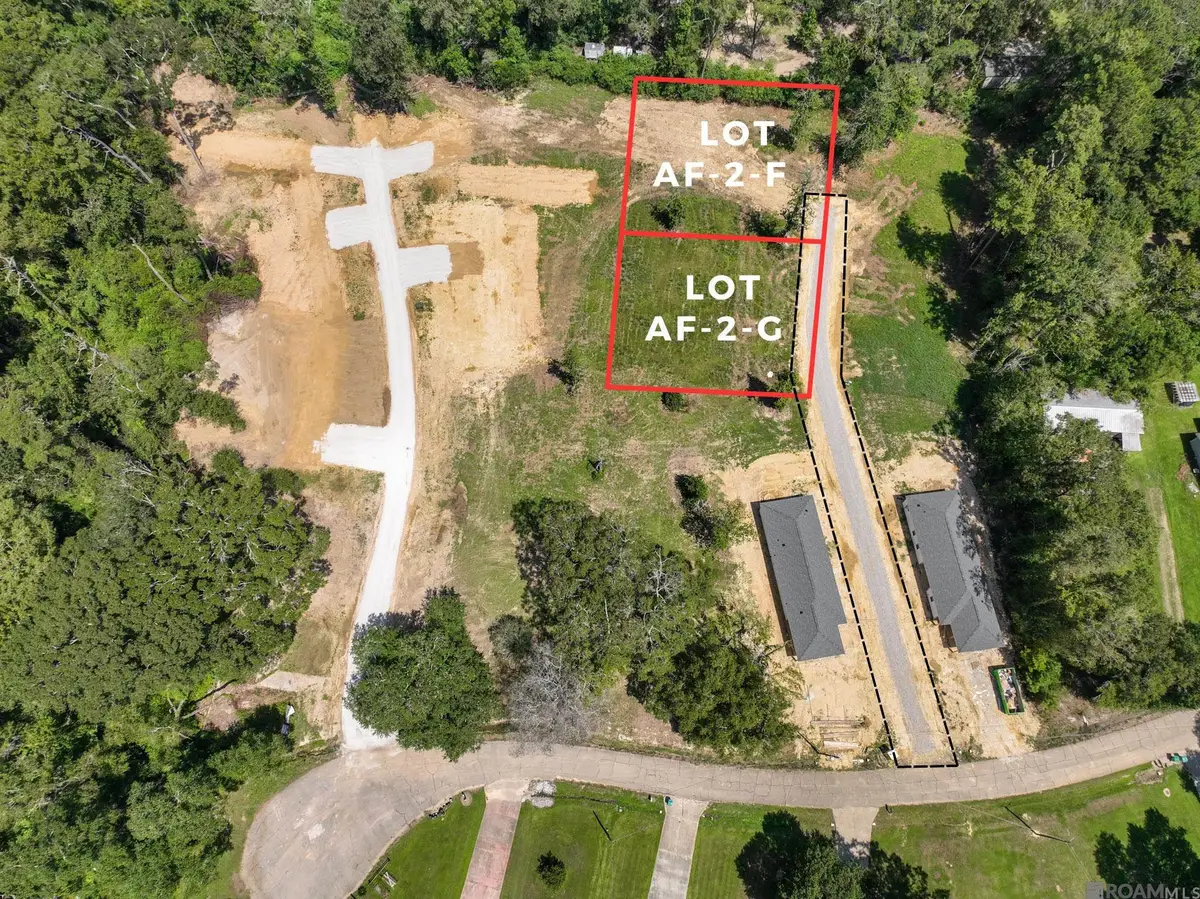 7035 Chandler Bluff Rd, Denham Springs, LA 70706 - #1