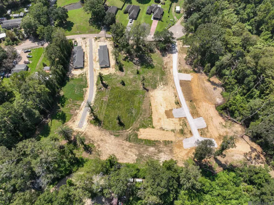 7035 Chandler Bluff Rd, Denham Springs, LA 70706 - #3