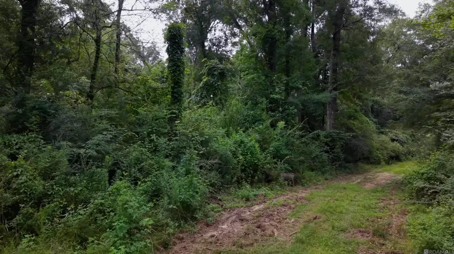 TBD Highway 1043, Greensburg, LA 70441 - #3
