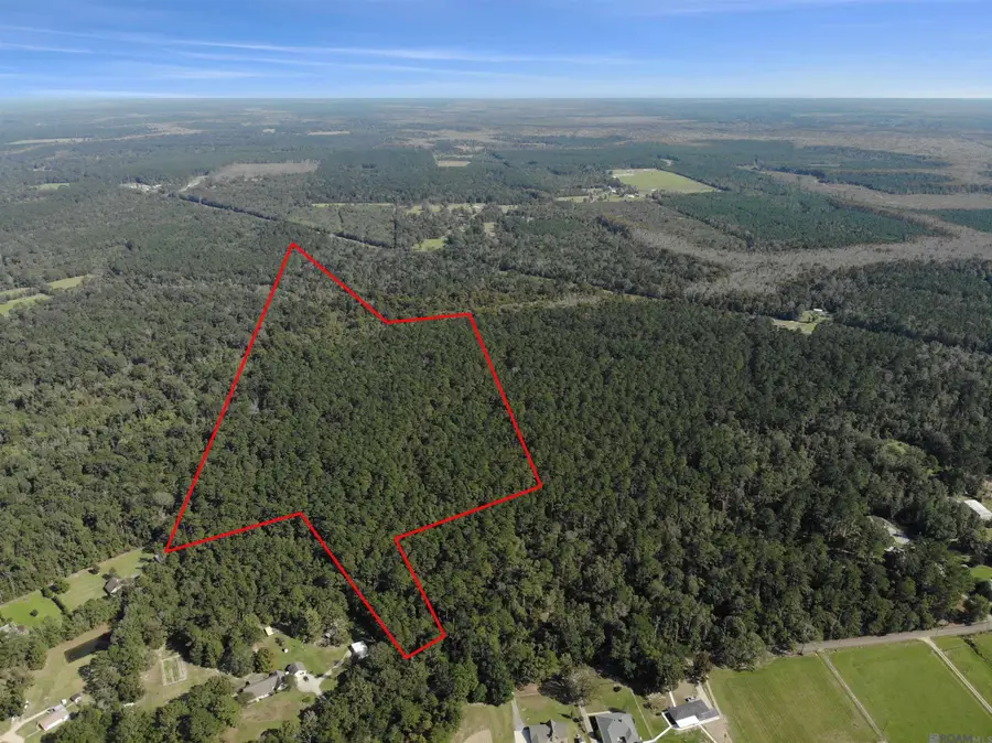 TBD Guitreau Rd, Livingston, LA 70754 - #2