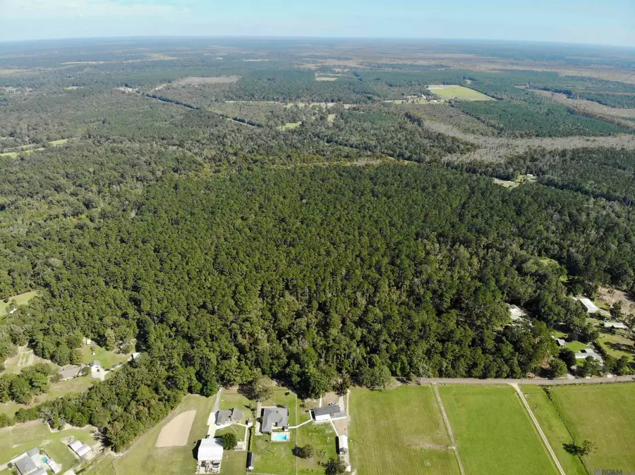 TBD Guitreau Rd, Livingston, LA 70754 - #3