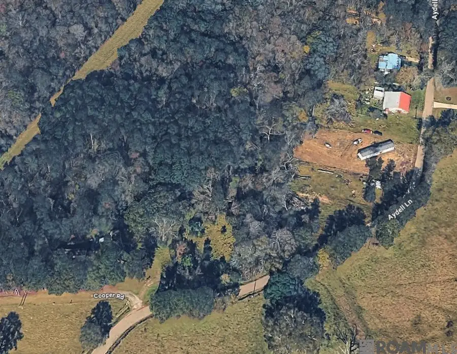 19435 Aydell Ln, French Settlement, LA 70733 - #2