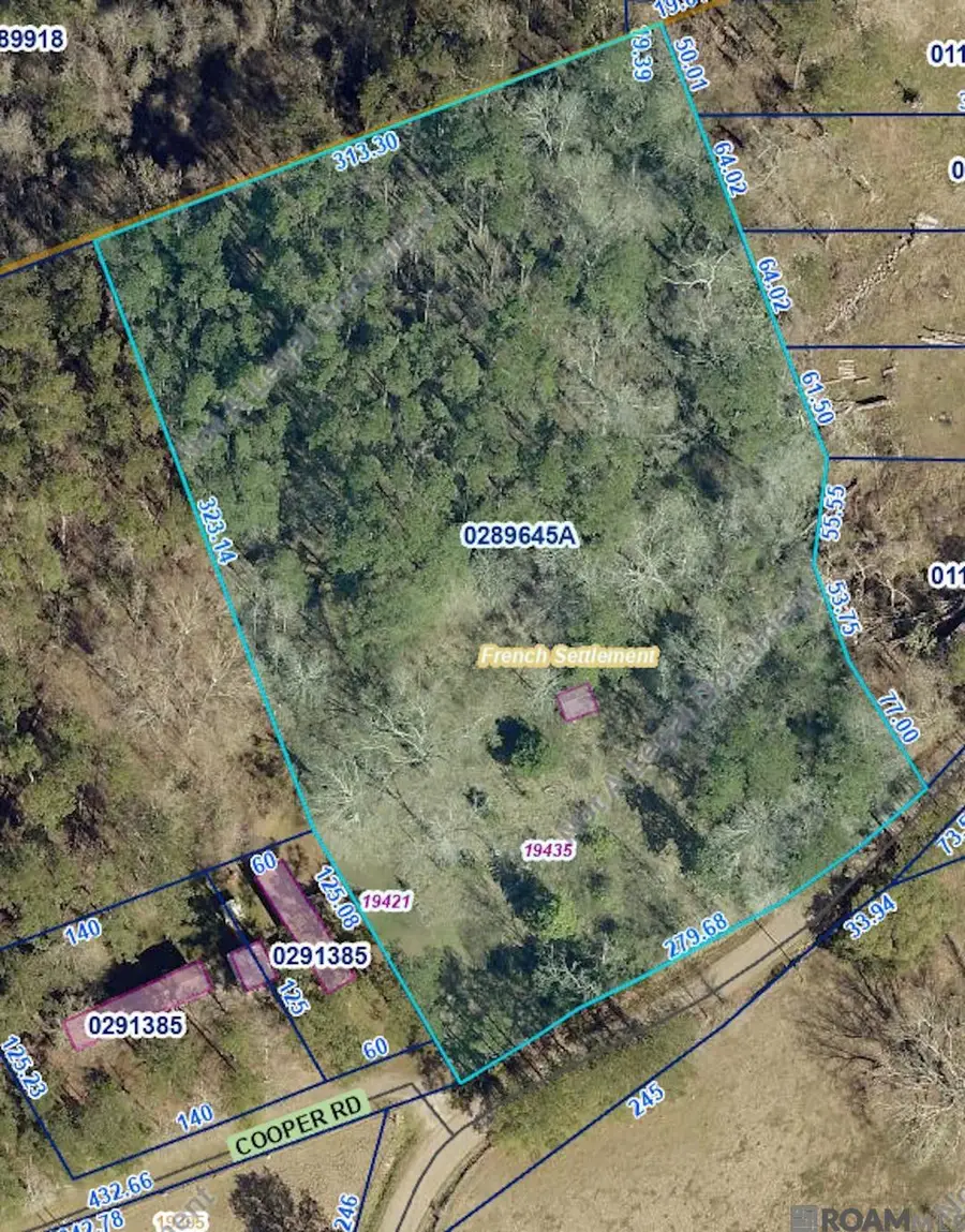 19435 Aydell Ln, French Settlement, LA 70733 - #3