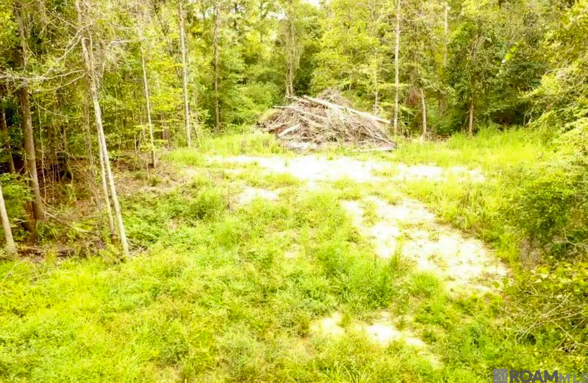 31287 Norred Rd, Holden, LA 70744 - #1