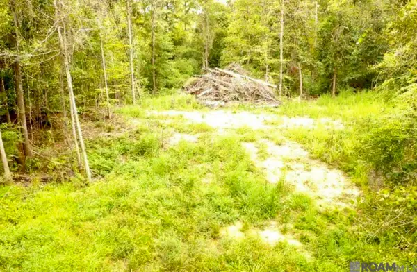 31287 Norred Rd, Holden, LA 70744