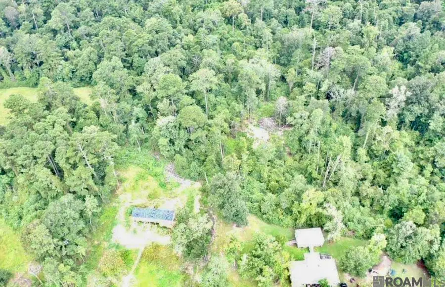31287 Norred Rd, Holden, LA 70744 - #3
