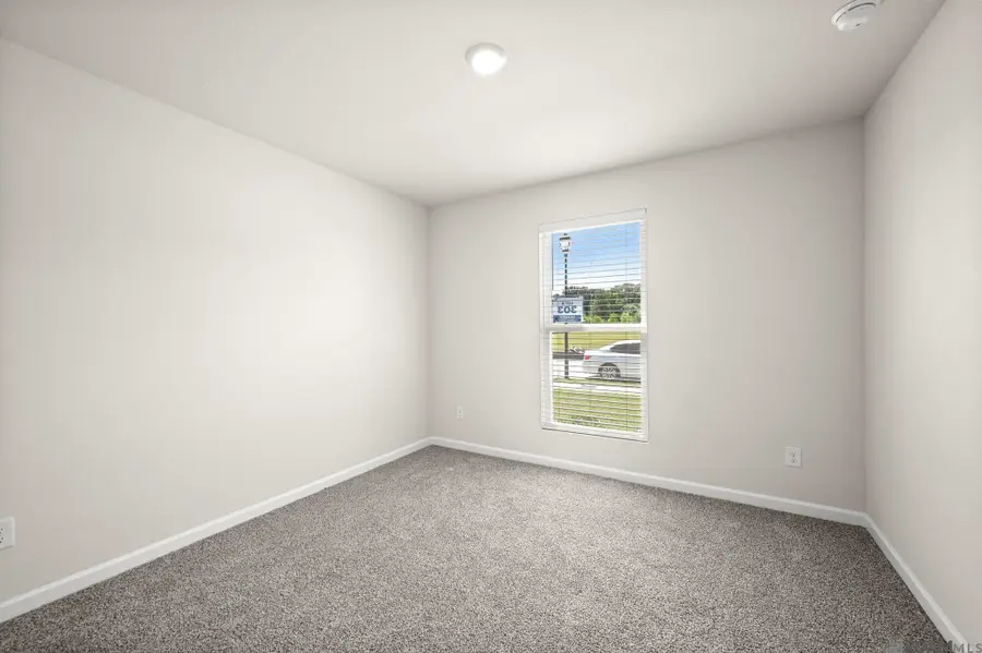 24734 Berry Ridge Lane, Springfield, LA 70462 - #3