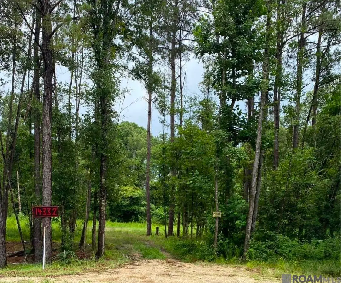 14332 Springfield Rd, Walker, LA 70785 - #1