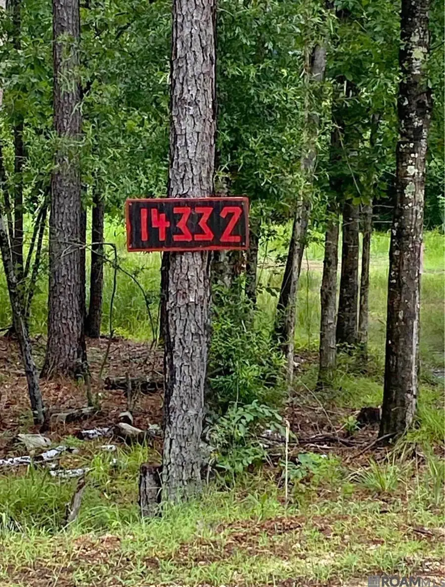 14332 Springfield Rd, Walker, LA 70785 - #2