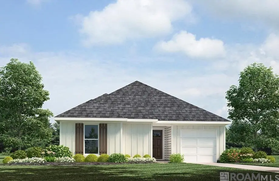 24764 Berry Ridge Lane, Springfield, LA 70462 - #1