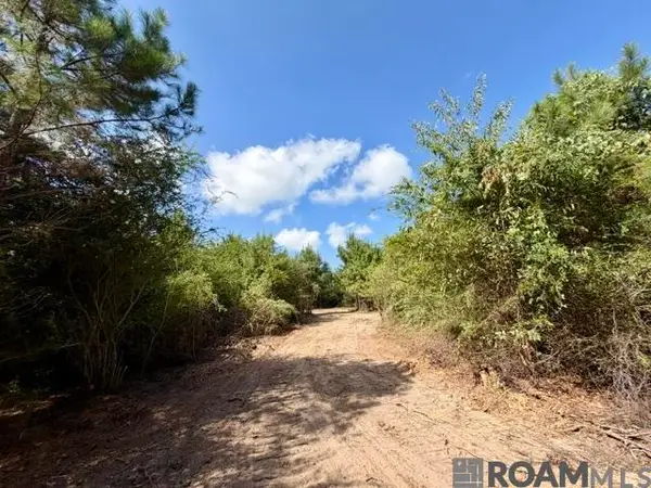 0 Robert Bateman Rd, Franklinton, LA 70438