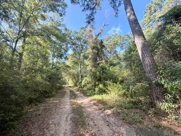 0 Robert Bateman Rd, Franklinton, LA 70438