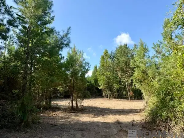 0 Robert Bateman Rd, Franklinton, LA 70438