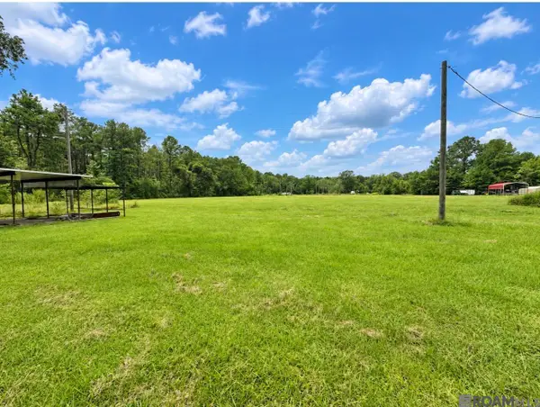 38235 N Walker Rd, Walker, LA 70785