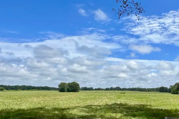 03 Hokaday Rd, Slaughter, LA 70777