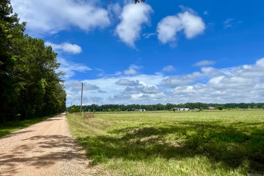 03 Hokaday Rd, Slaughter, LA 70777 - #2