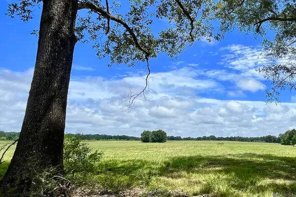 04 Hokaday Rd, Slaughter, LA 70777