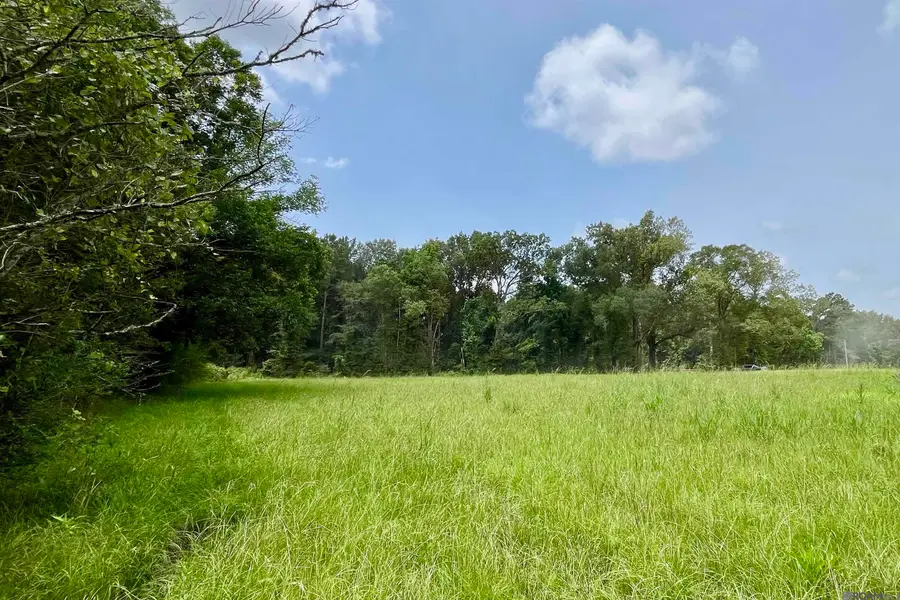 05 Hokaday Rd, Slaughter, LA 70777 - #3