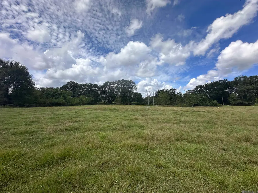 65623 Wilcox Rd, Kentwood, LA 70444 - #2
