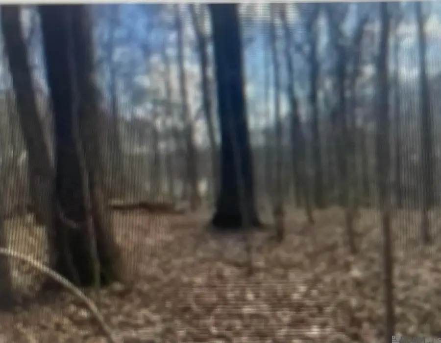 0 Turkey Creek Rd, Natchez, MS 39120 - #2