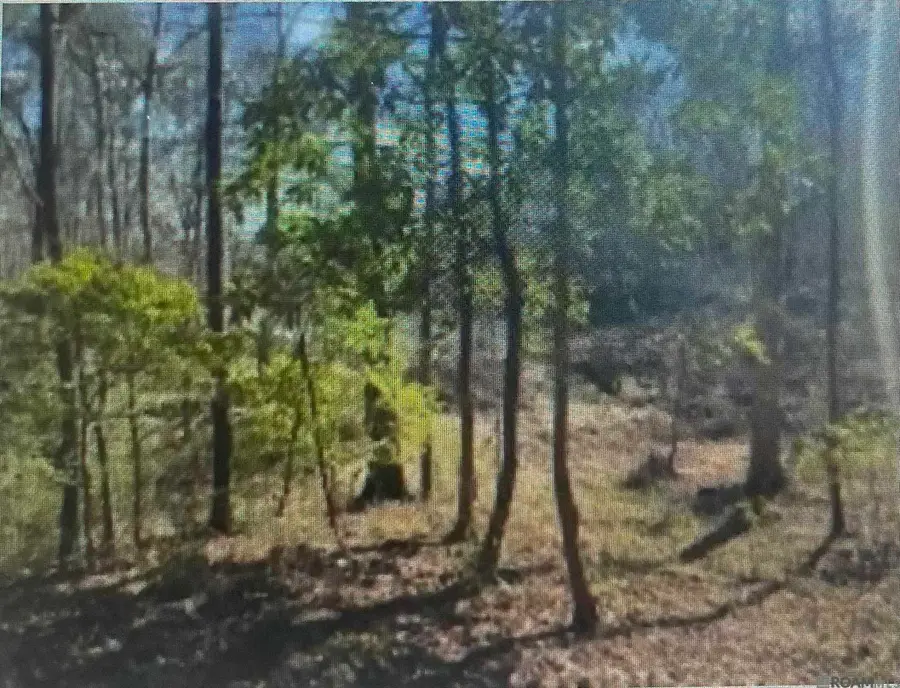 0 Turkey Creek Rd, Natchez, MS 39120 - #3