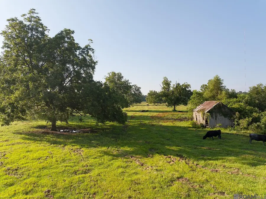725 River Road Drive, Sunshine, LA 70780 - #3