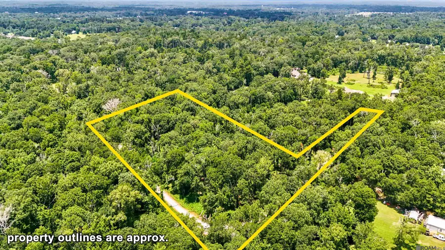 Lot 1 Wildwood Dr, Denham Springs, LA 70726 - #2