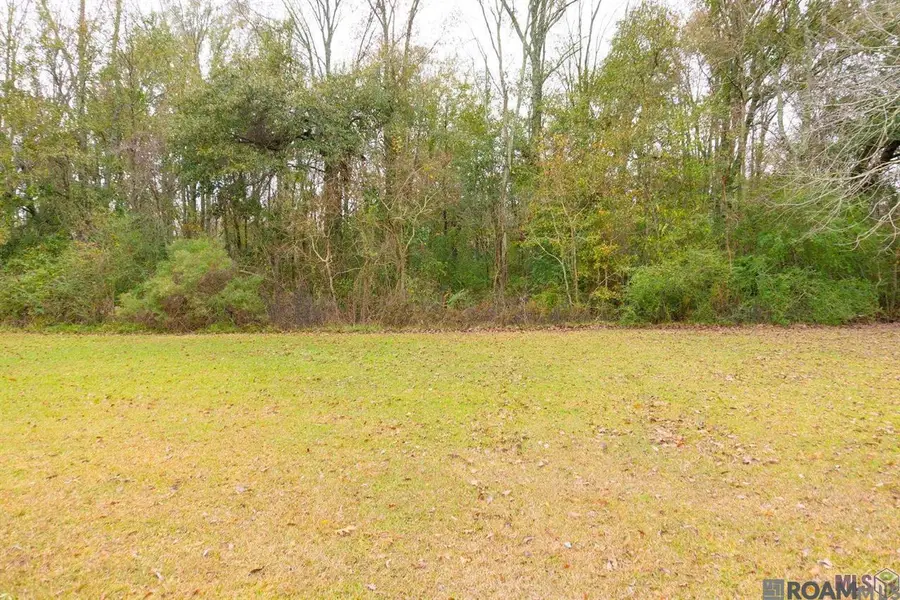 TBD1 Sam Baker Dr, Geismar, LA 70734 - #2