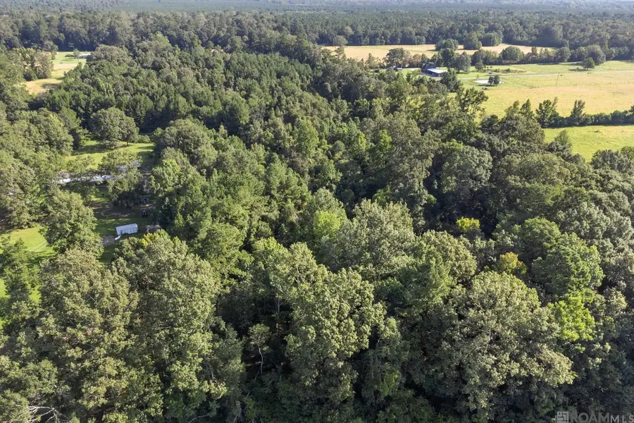 TBD Port Hudson Pride Rd, Pride, LA 70770 - #2