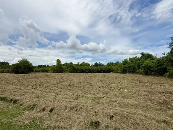 2-A E 40th St, Cut Off, LA 70345