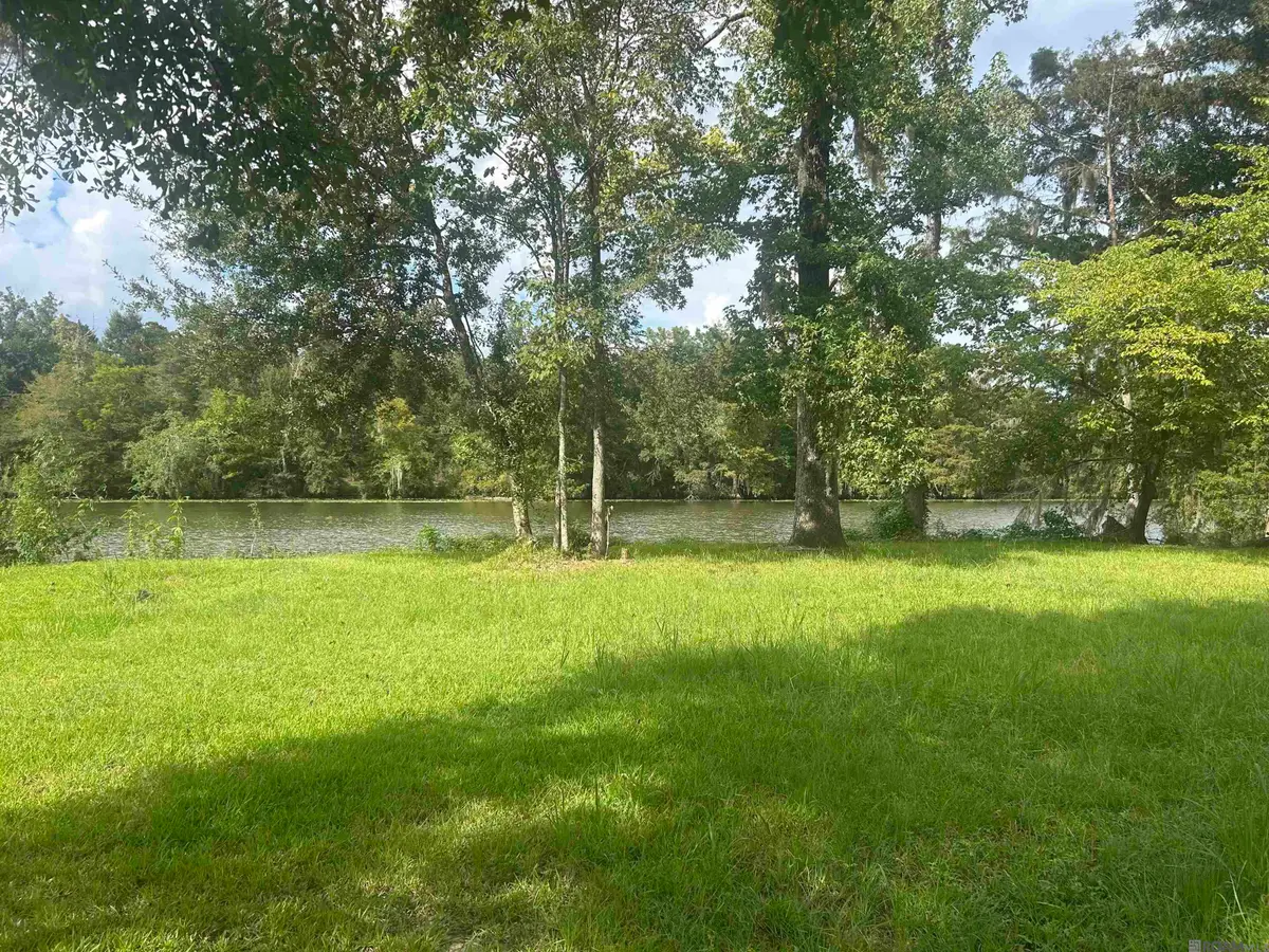 18917 River Bend Rd, Maurepas, LA 70449 - #1