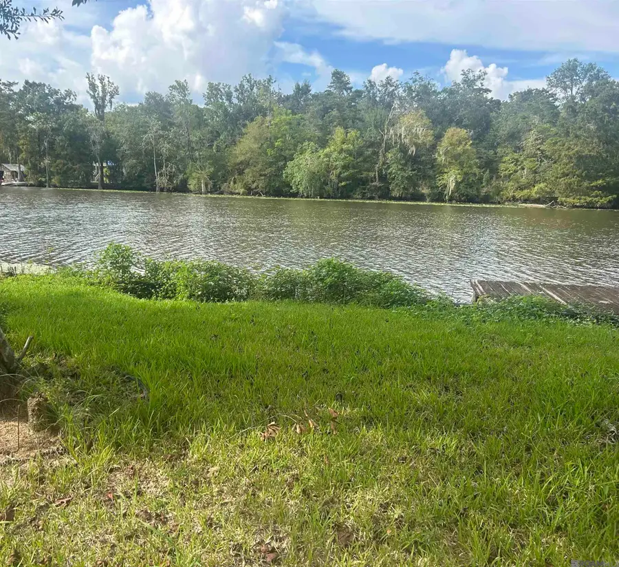18917 River Bend Rd, Maurepas, LA 70449 - #3