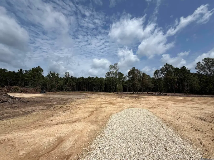 25021 La Hwy 442, Independence, LA 70443 - #2