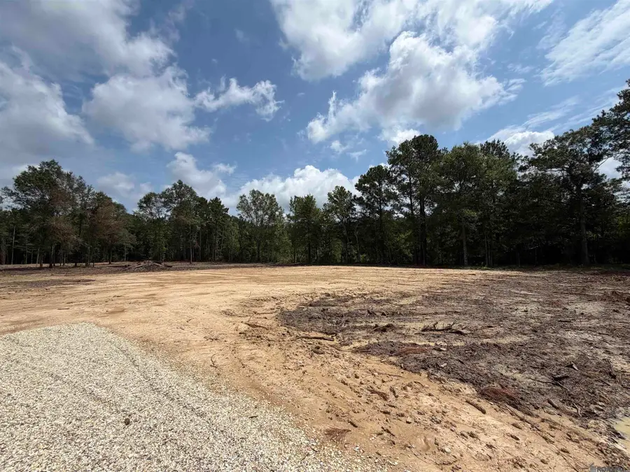 25021 La Hwy 442, Independence, LA 70443 - #3