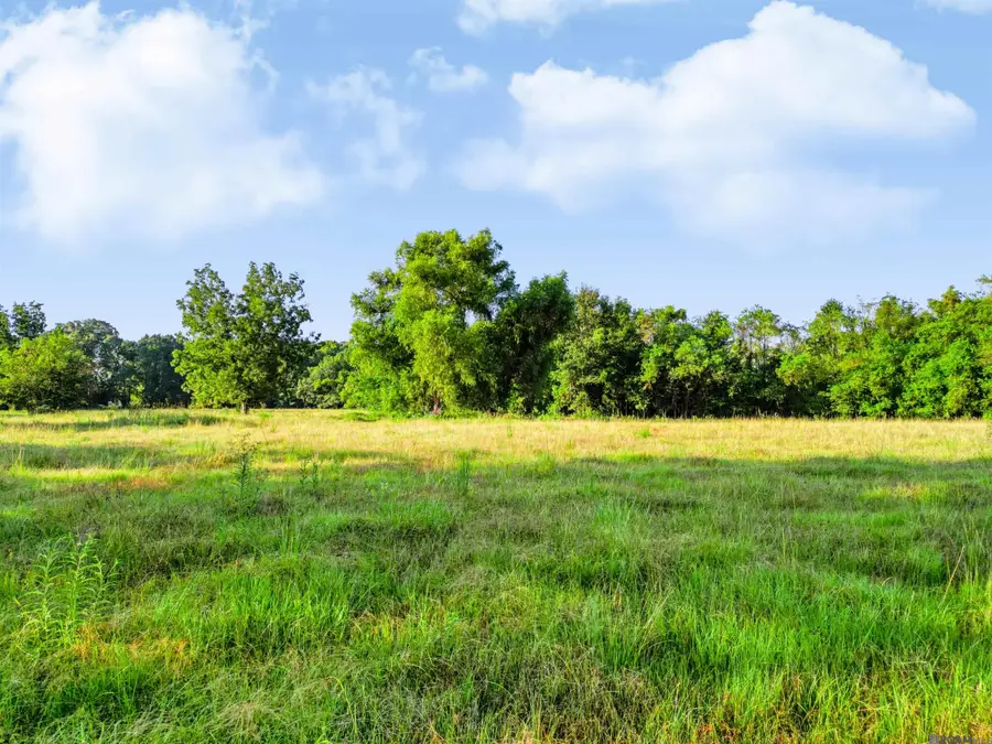 Lot NRC 3 New River Canal Rd, Geismar, LA 70734 - #2