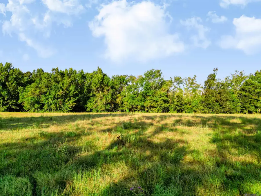 Lot NRC 6 New River Canal Rd, Geismar, LA 70734 - #2