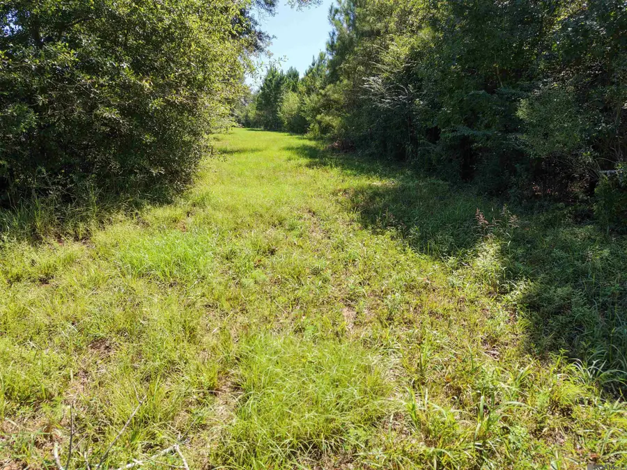 34320 Hwy 1055, Mount Hermon, LA 70450 - #2