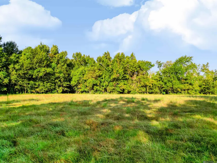 Lot NRC 7 New River Canal Rd, Geismar, LA 70734 - #2