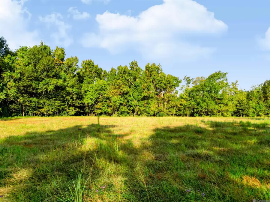 Lot NRC 8 New River Canal Rd, Geismar, LA 70734 - #2