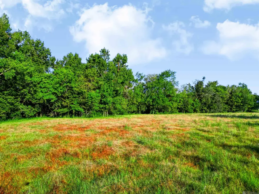 Lot NRC 9 New River Canal Rd, Geismar, LA 70734 - #2