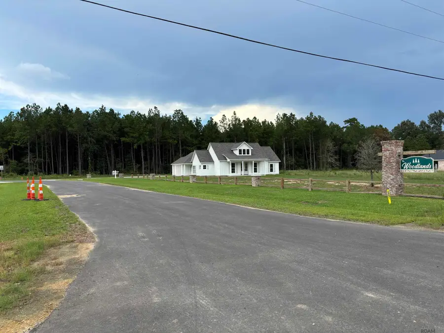 18993 Honey Grove, Livingston, LA 70754 - #3