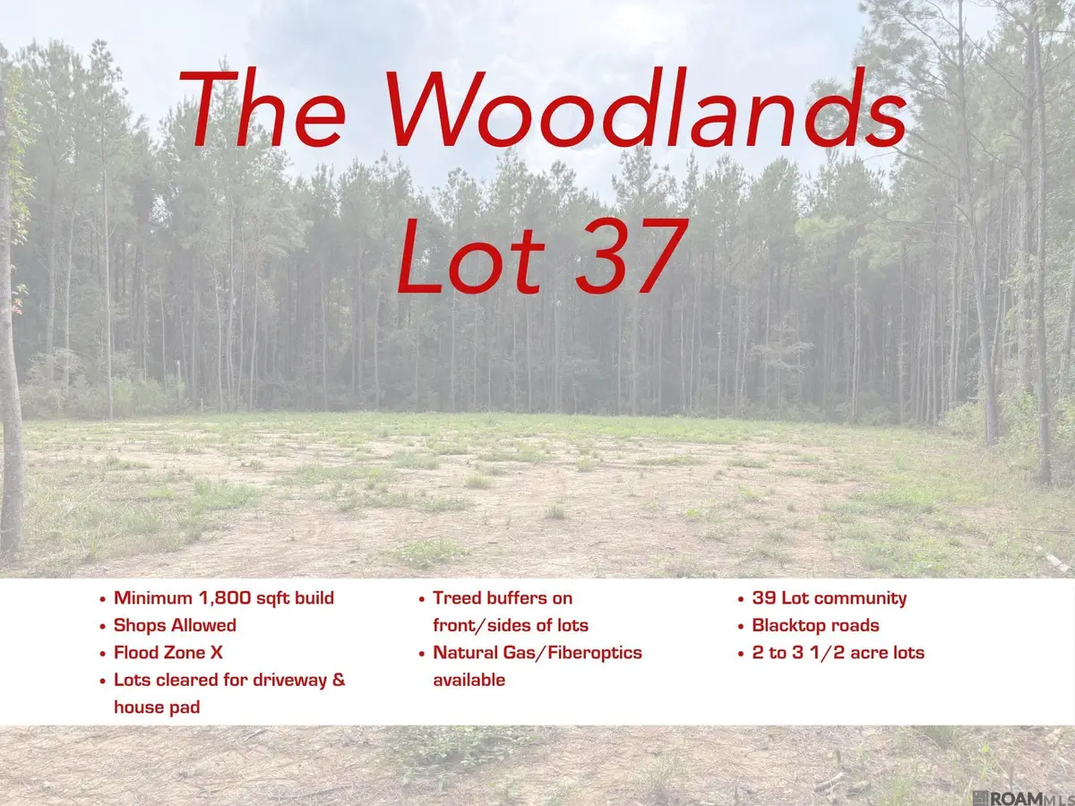 17706 Copper Pass, Livingston, LA 70754 - #1