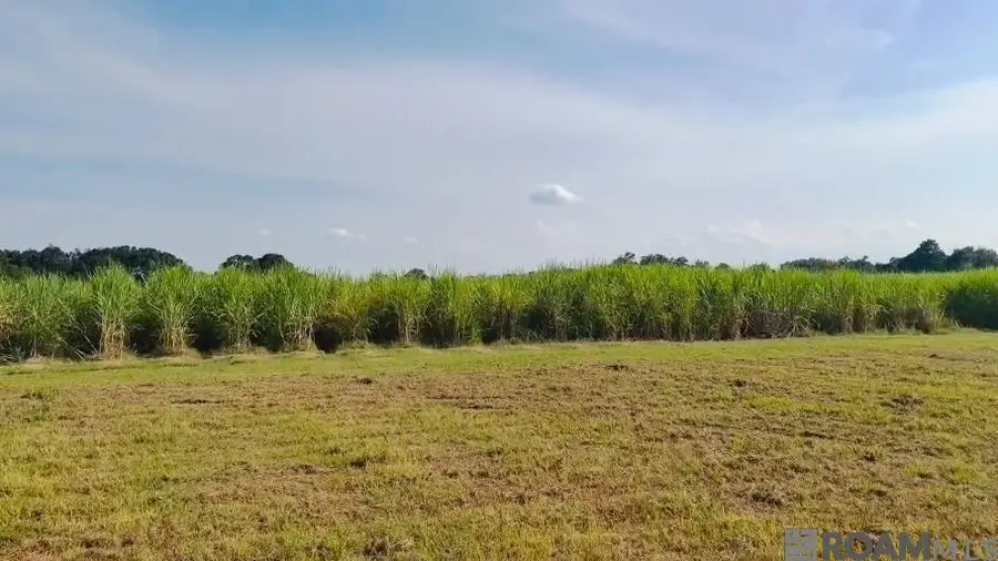 1053 Jeffery Broussard Rd, Breaux Bridge, LA 70517 - #2