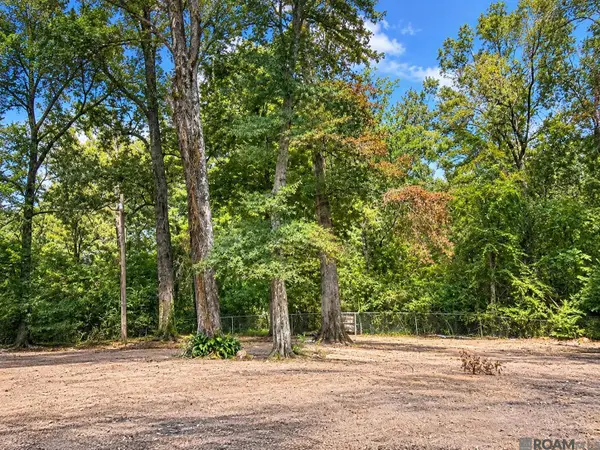 7737 Impson Dr, Denham Springs, LA 70706