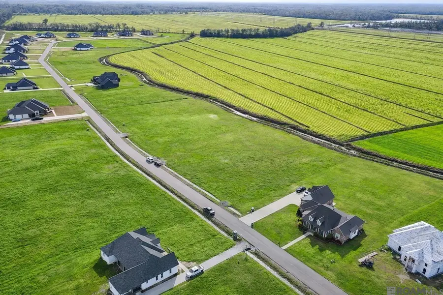 402 Harvest Ln, Port Allen, LA 70767 - #2