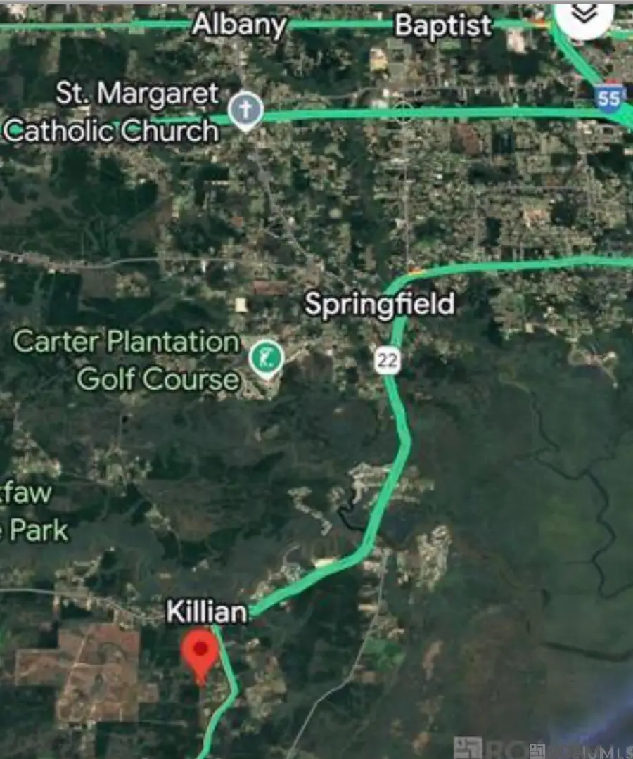 18943 Austin St, Springfield, LA 70462 - #3