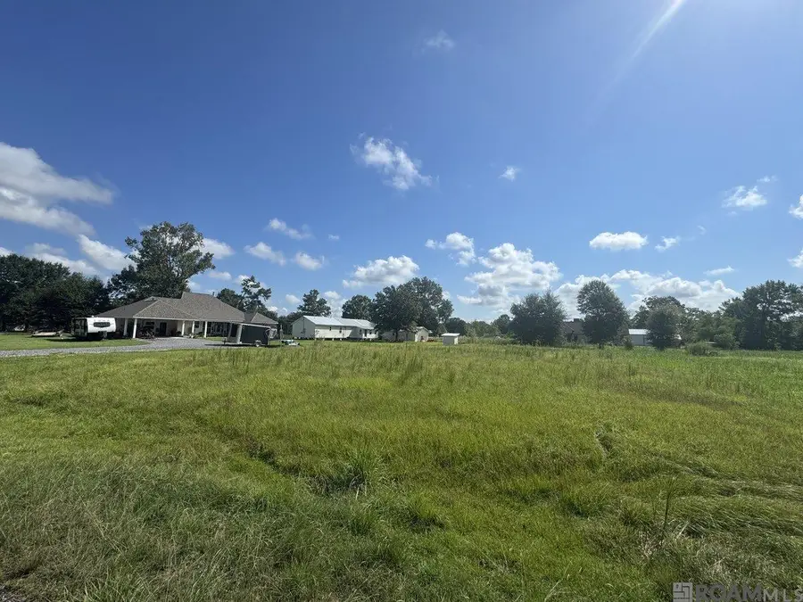 A-1-F-4-A Miller Rd, Prairieville, LA 70769 - #3
